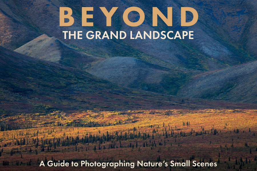 Beyond the Grand Landscape: A Guide to Photographing Nature's Small Scenes (Second Edition)
