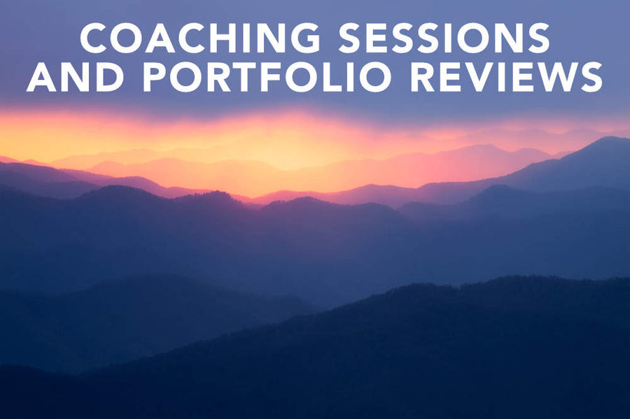 Portfolio Reviews, Photo Feedback, and Personalized Coaching